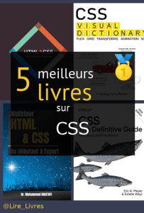 Livres sur CSS