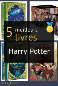 Harry Potter : coffret collector 25 ans : J. K. Rowling - 2075186804 -  Romans pour enfants dès 9 ans - Livres pour enfants dès 9 ans