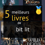 Livres de bit lit