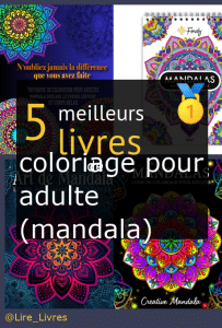 Livres de coloriage pour adulte (mandala)