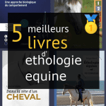 Livres d’ éthologie équine