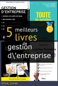 Livres de gestion d’entreprise