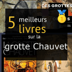 Livres sur la grotte Chauvet