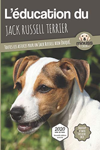 Livres sur le Jack Russell 🔝