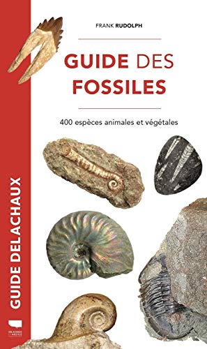 Livres sur les fossiles 🔝