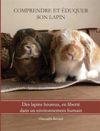 Livres sur les lapins 🔝