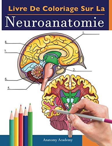 Livres de neuroanatomie 🔝