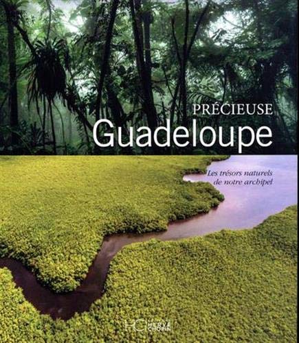 Livres pour visiter la Guadeloupe 🔝