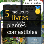 Livres sur le plantes comestibles