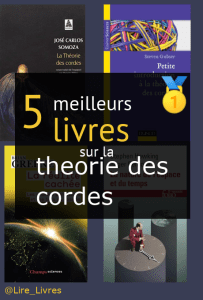 Livres sur la théorie des cordes